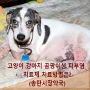 송탄시장약국 이미지