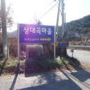 인지망 이미지