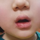 이지연성형외과