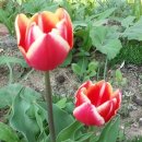 가신원통길 이미지