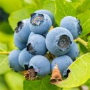 아란농장 이미지