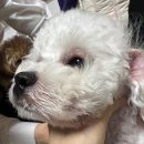 영덕사랑동물병원 이미지