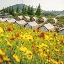 고창상하목장 이미지
