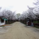 나무고아원 이미지