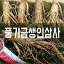 풍기인삼, 홍삼먹고 건강해져요