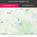 괴산시외버스공용터미널 이미지