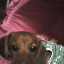 간석3동-26 이미지