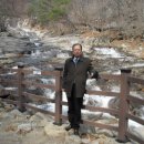 참  샘 이미지