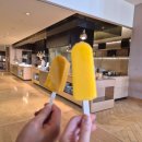 동백사우나 | 제주 신라호텔 숙박 후기 - 조식, 해물짬뽕, 야외수영장, 자쿠지, 사우나