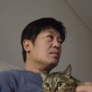 게티하우스 이미지