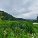 봉화공인중개사사무소 이미지