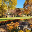 대구수목원 이미지