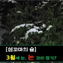 눈눈 이미지