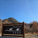 세이지우드 홍천산양목장 | 홍천 세이지우드 산양목장