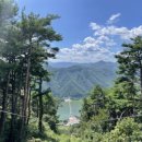 보현산댐 짚와이어 이미지