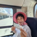완도에서 살아보기 일흔한 번째 날부터 일흔일곱 번째 날, 강진 다산박물관에서 중앙시장, 장보고공원까지