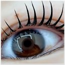 Feel뷰티 | 찐 후기 레전드 등극 뷰티샵 체험기