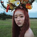 숲의 아이 이미지