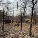 스테이 하구 | 가평 더스테이힐링 | 오랜만에 데이뚜(w솔직후기 w사진찍기 힘들어....)