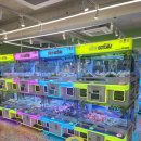 뽑기일번가 이미지