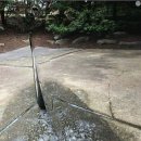 달인손세차 이미지