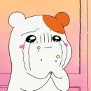 부천준동물병원 이미지