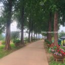 메타세쿼이어길 화장실 이미지