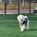 군자유치원 이미지