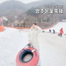 경기도 양주 눈꽃축제 눈썰매장 예매 예약 기본정보 평일 후기