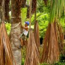 경관농장 이미지