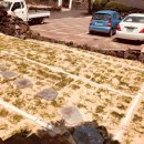 하우스장 이미지