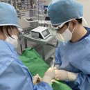 장인치과기공소 이미지