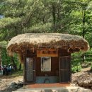 채동복농장 | 김삿갓 주거지가 있는 영월 마대산