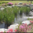 서호공원 이미지