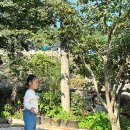 신월동186 이미지