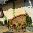 술이홀 경로당 이미지