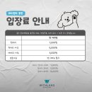 영화랜드 | 동탄 위드랜드 애견카페 후기 | 영화 볼 때 맡기기 좋은 데이케어 (내돈내산)