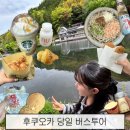 후쿠오카 가성비 버스투어 내돈내산 솔직 후기 + 유후인 간식거리 추천