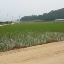 [김천농지][김천혁신도시][김천부동산]김천시 농소면 신촌리 농림지역 이미지