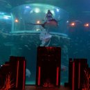 한국해양수조공사 이미지