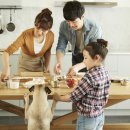 24시 더케어 동물의료센터 이미지