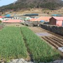 관매도해수욕장 이미지