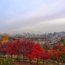 청운공원 이미지