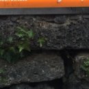 시인의섬 이미지