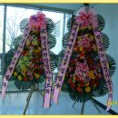 정가원 이미지