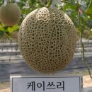 케이쓰리 이미지
