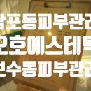 오호 에스테틱 이미지