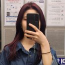페이브헤어 네이버블로그