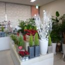 서원대로1 이미지