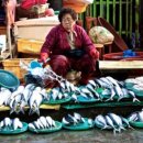 생선장수 이미지